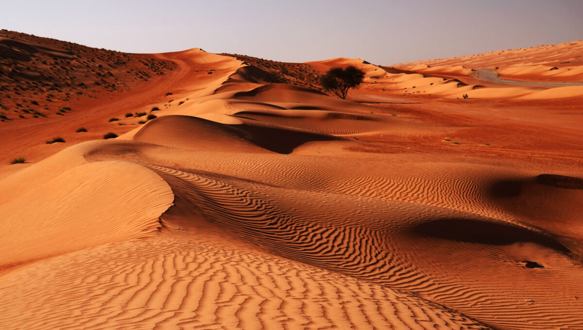 Visiter le Désert Wahiba, voyage à Oman