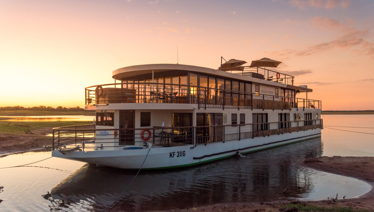 Croisière exclusive et safari en Afrique australe