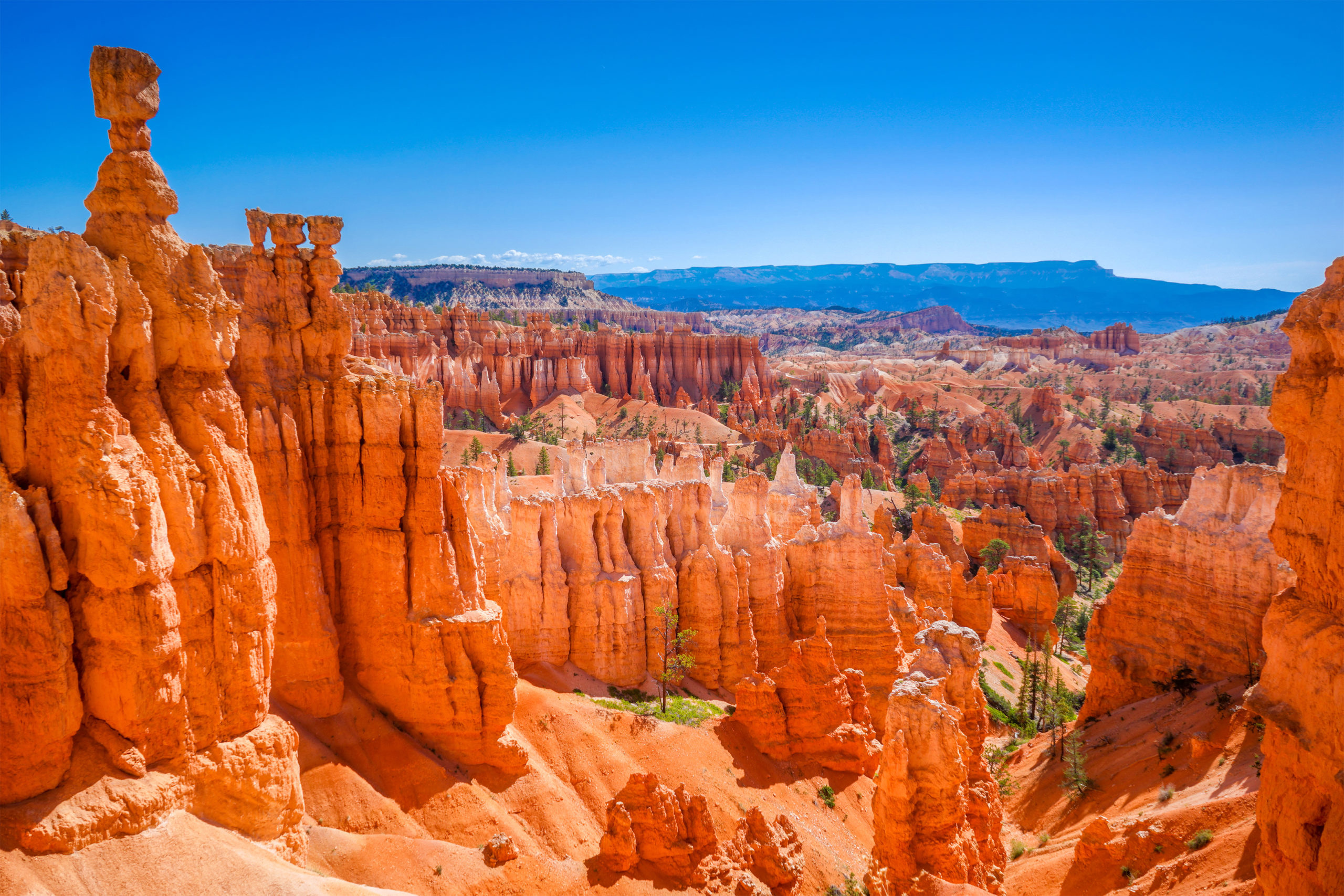 Parc national Bryce Canyon, Utah, États-Unis
