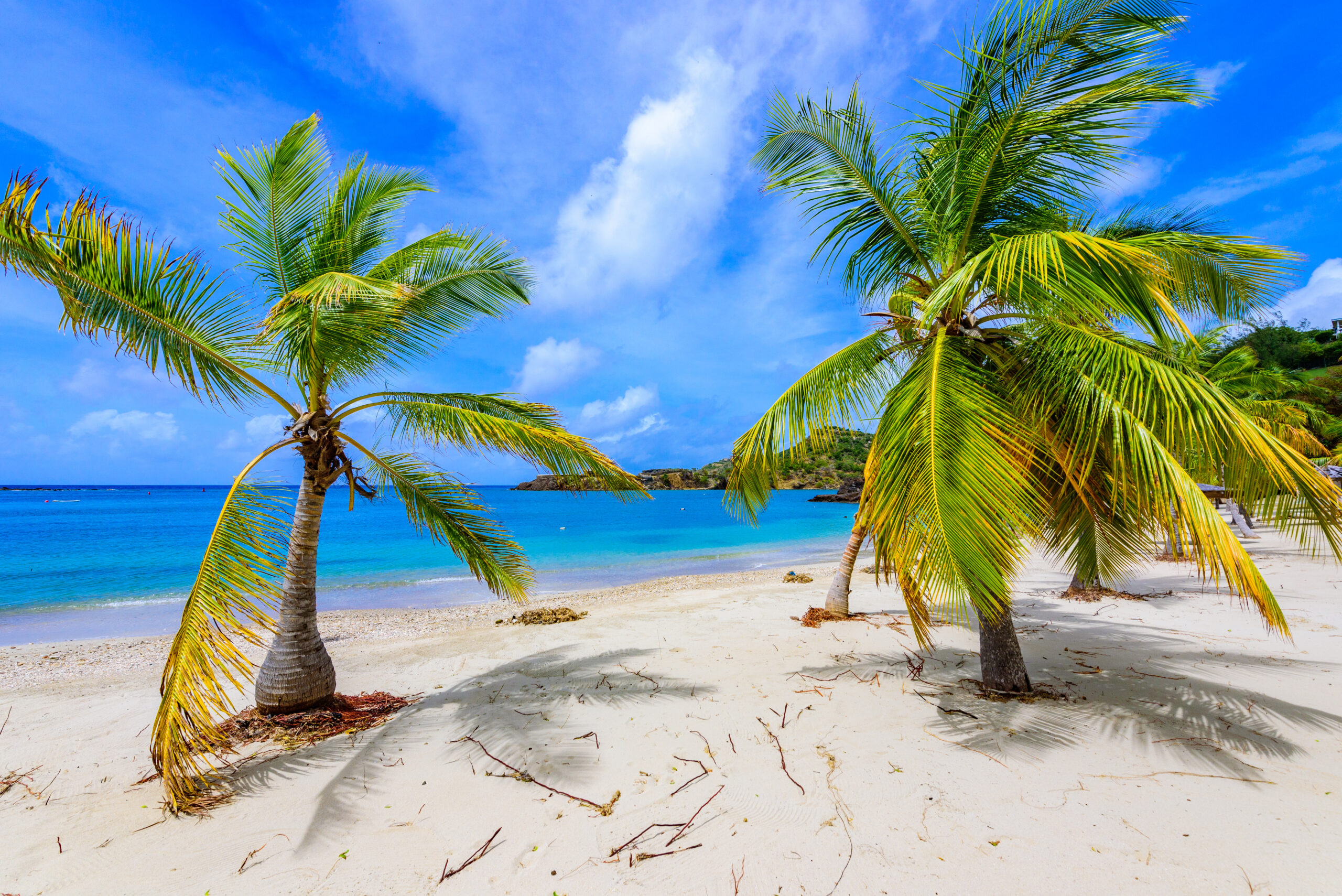 Croisière du Nouvel An aux Caraïbes