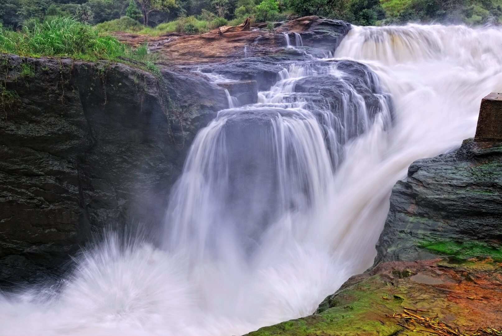 Ouganda – La Perle de l’Afrique