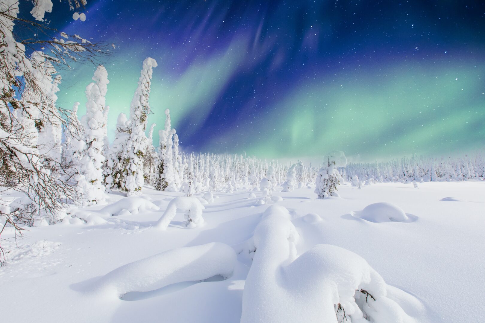 Aventure arctique en Laponie finlandaise