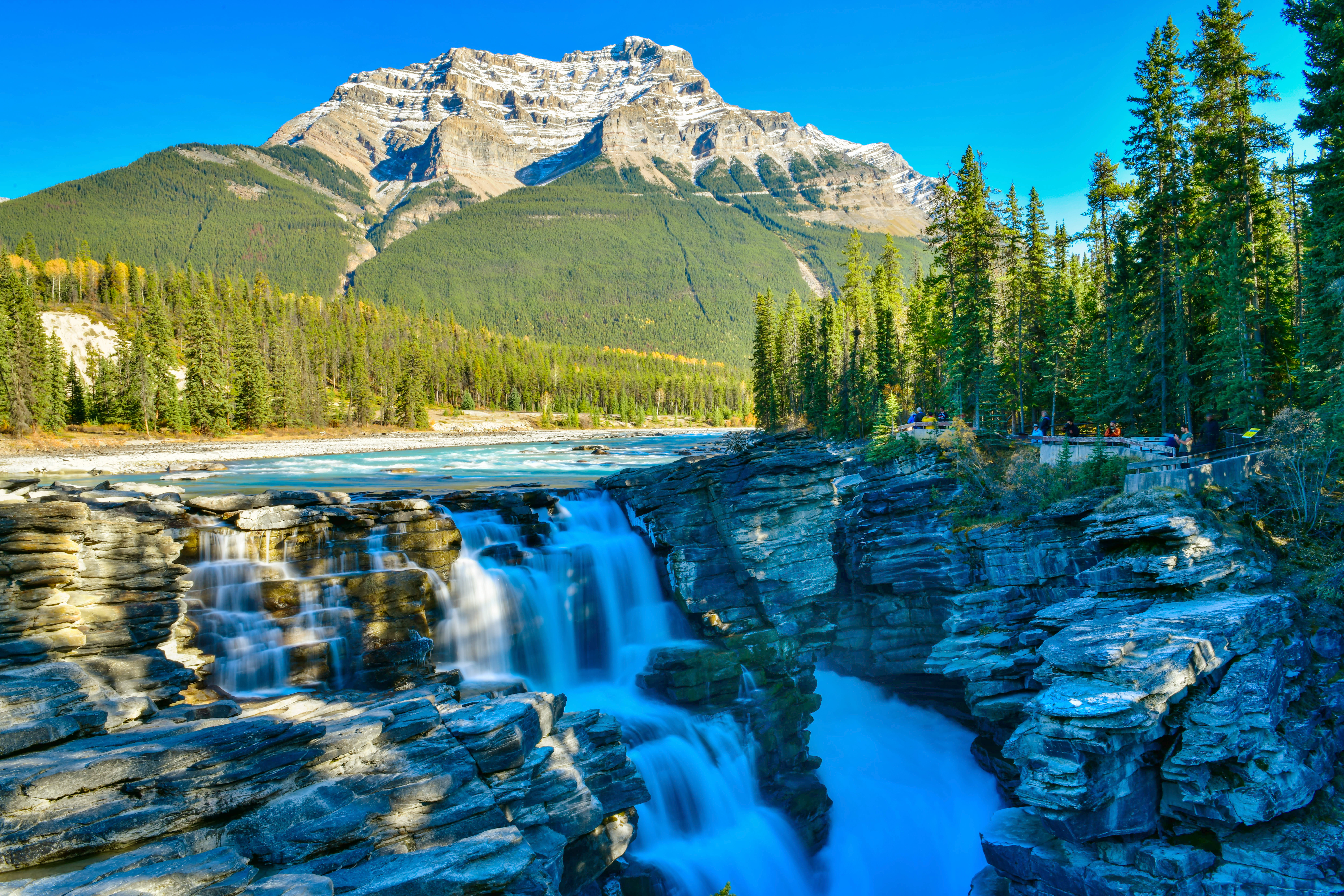 Les chutes Athabasca à Jasper, Rocheuses, Ouest Canada