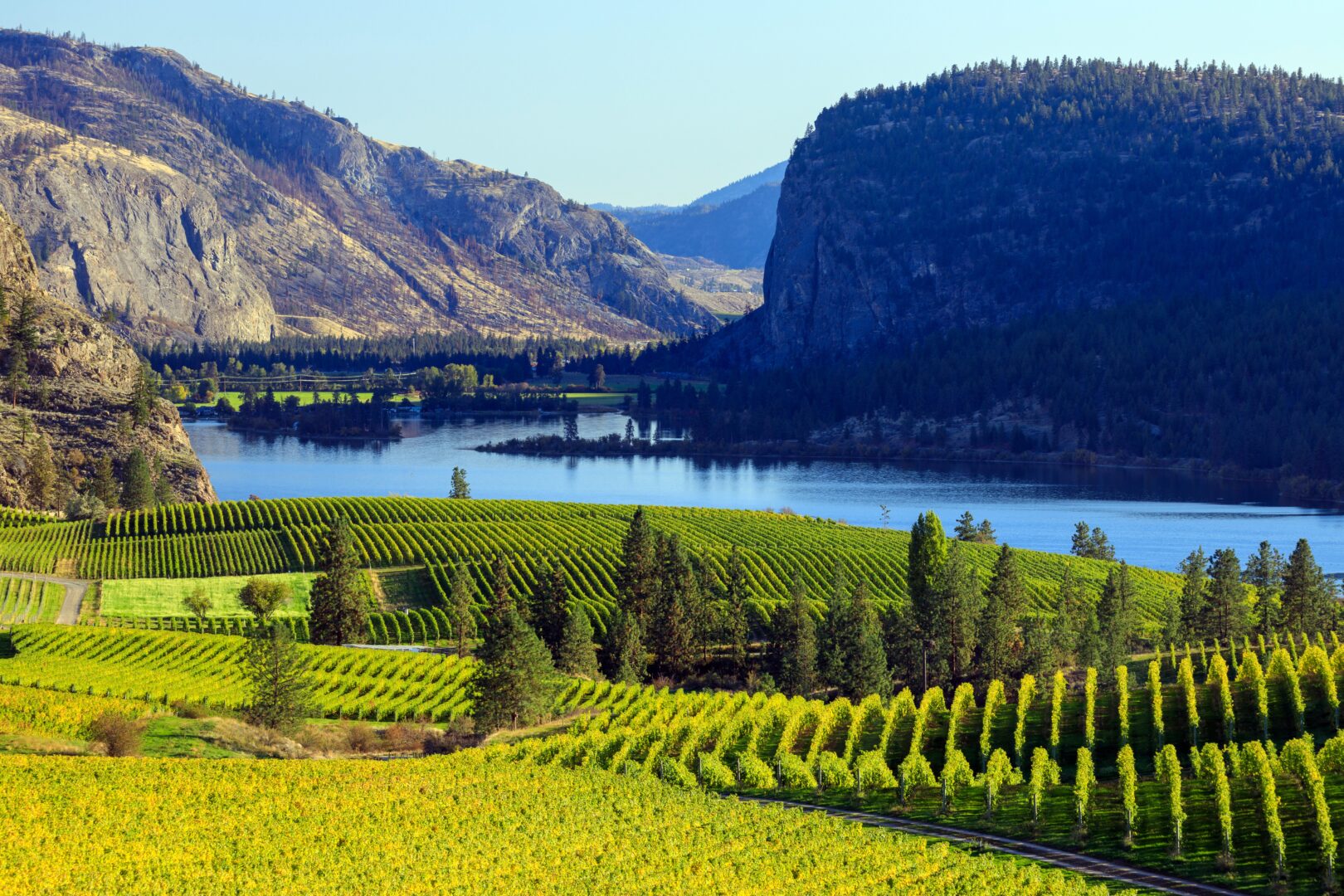 Vignobles de la Vallée Iokanagan, Ouest Canada