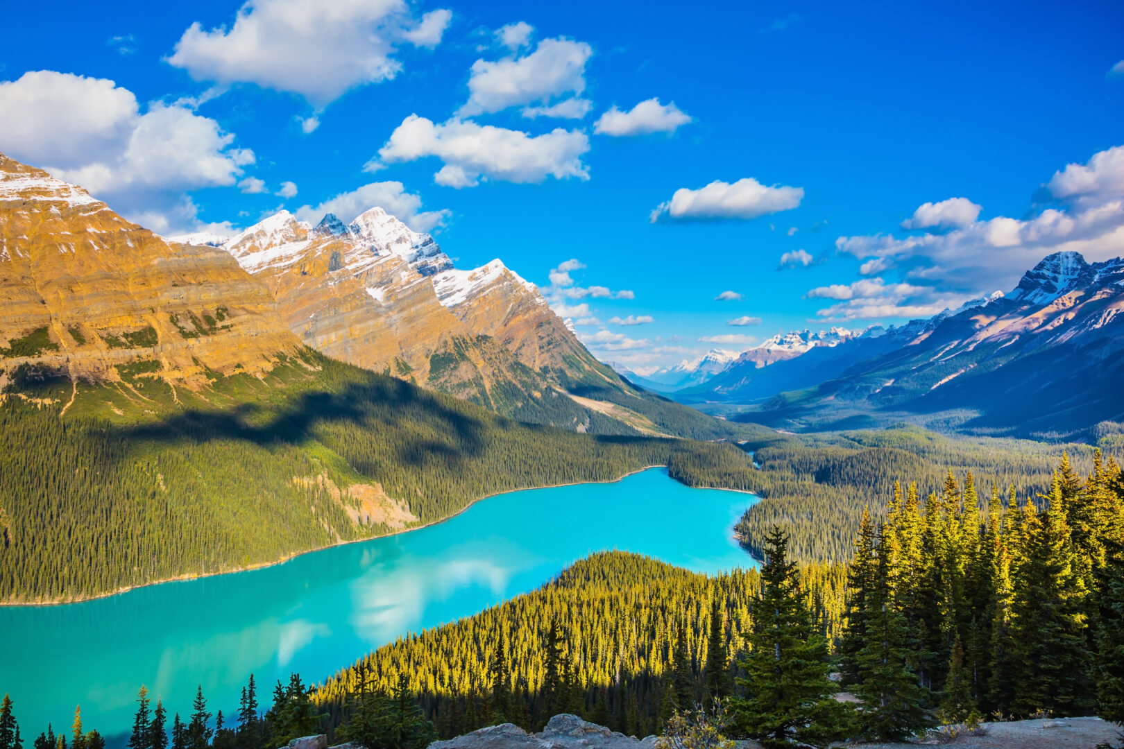 Lac Peyto, Parc national de Banff, Canada