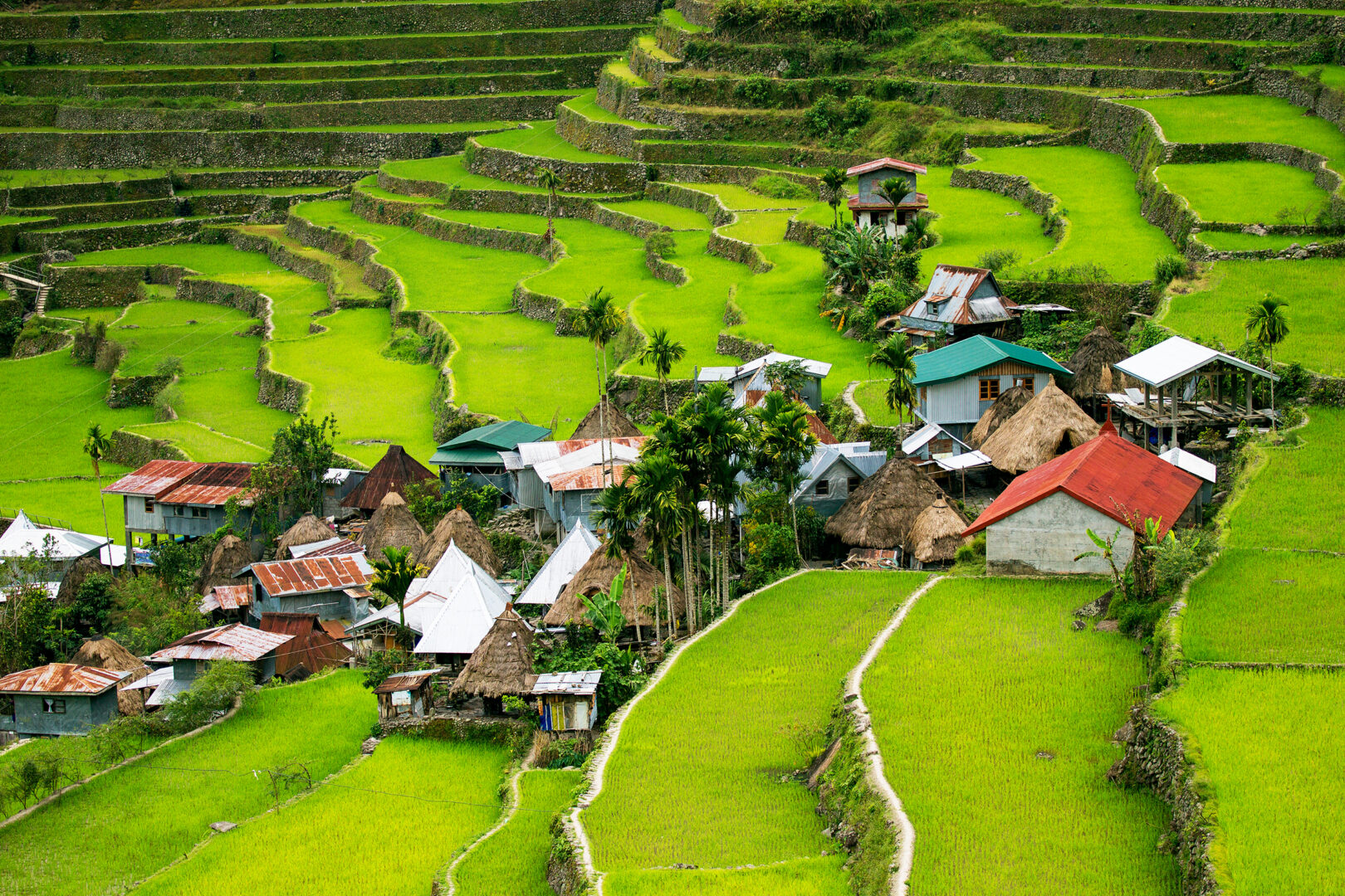 Rizières en terrasses dans le nord des Philippines, Batad, Banaue
