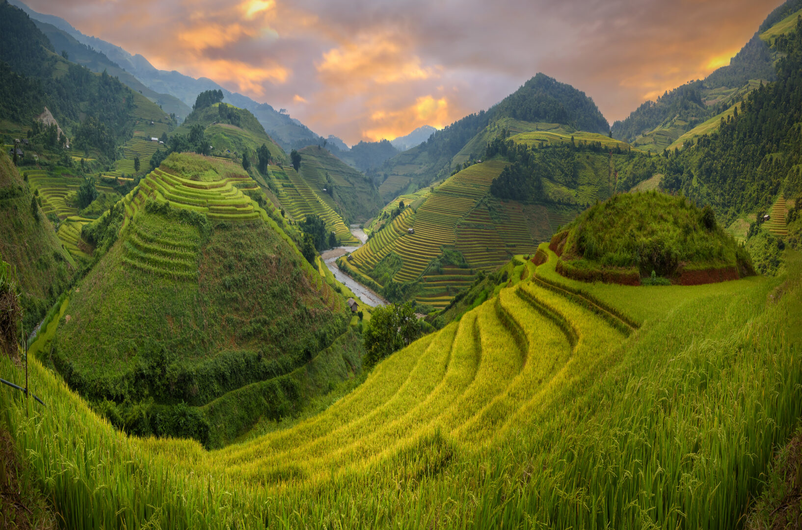 Rizières en terrasses au crépuscule aux Philippines