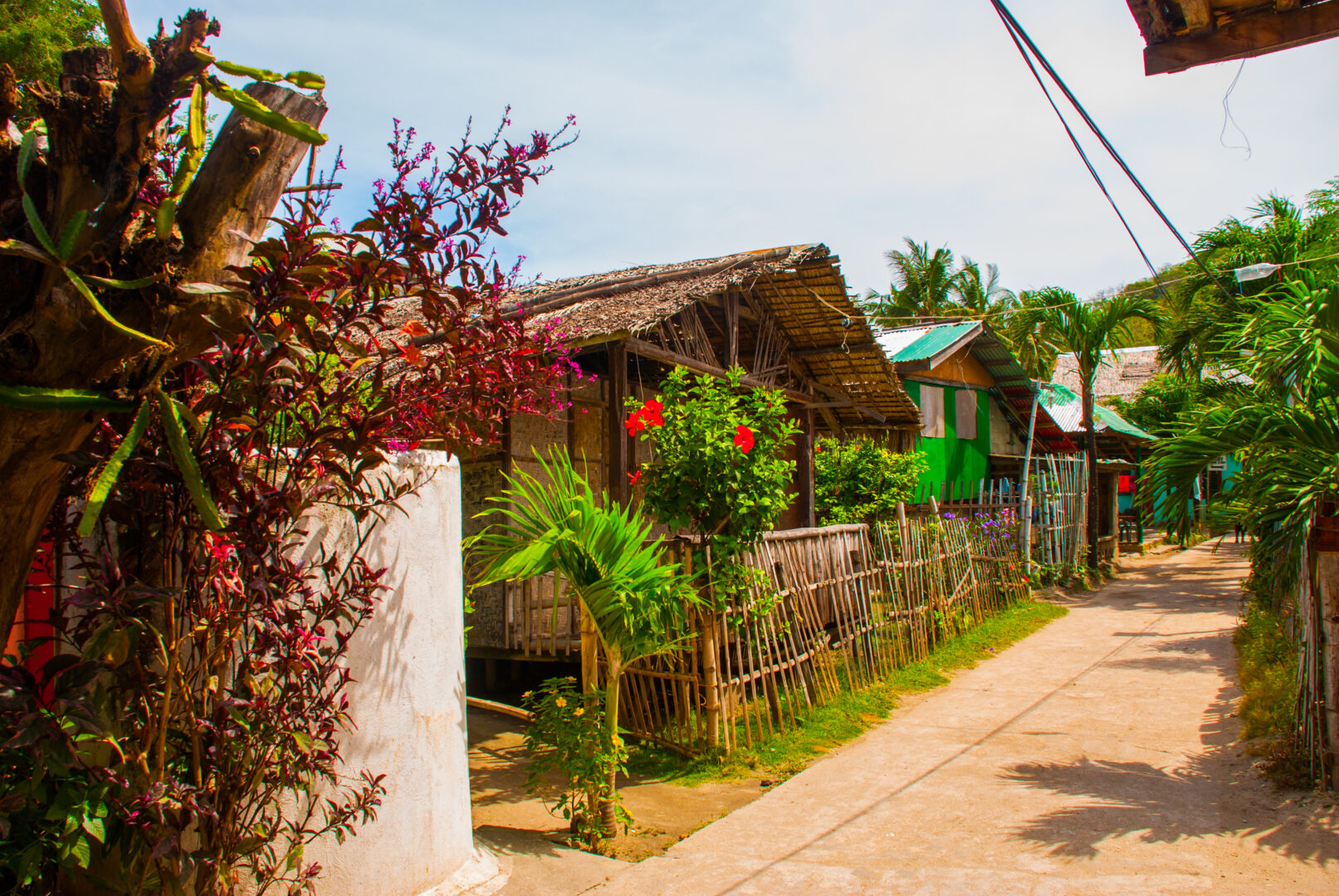 Rue sur Apo Island aux Philippines