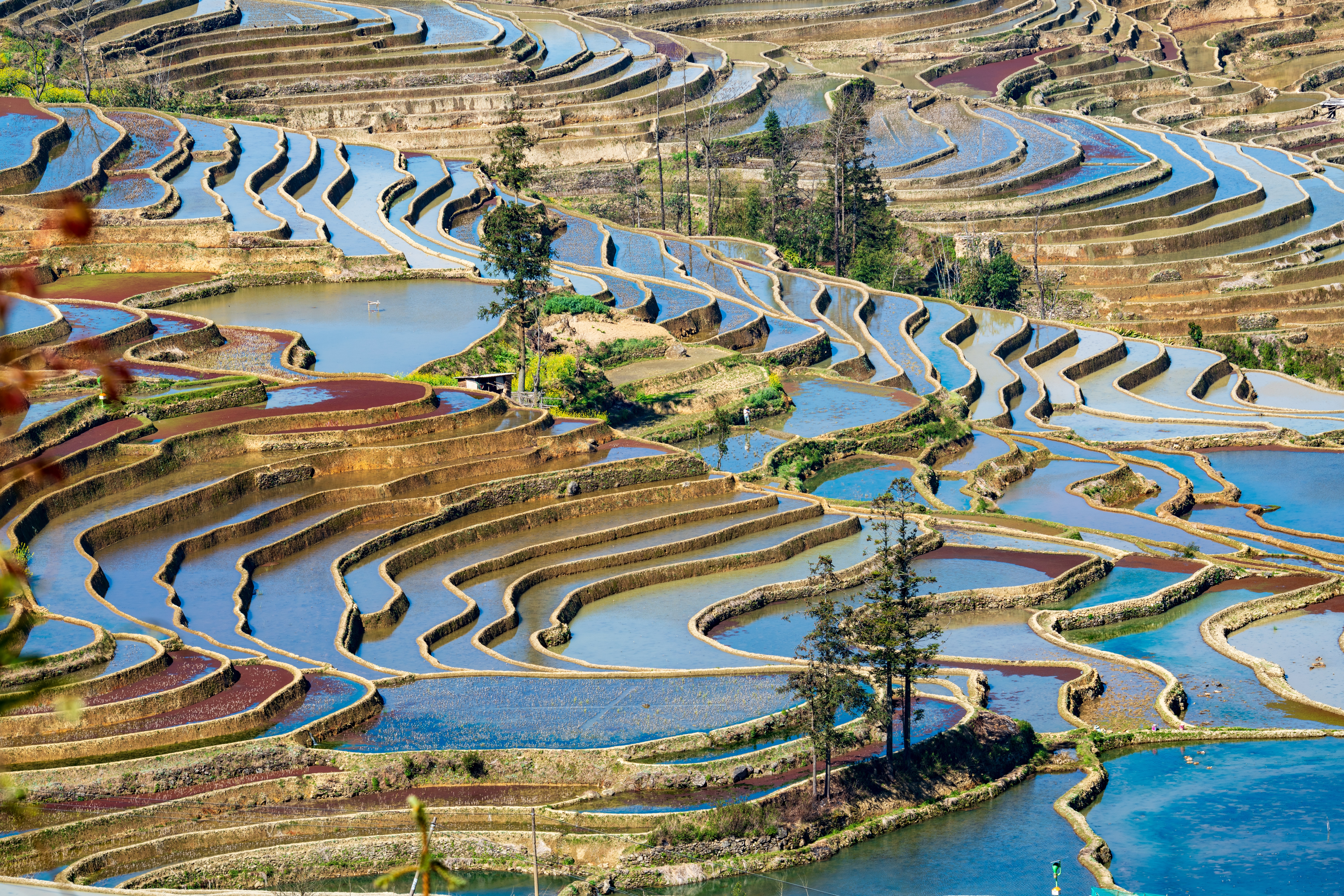 rizière en miroir de Yuanyang au lever du soleil, province du Yunnan, Chine