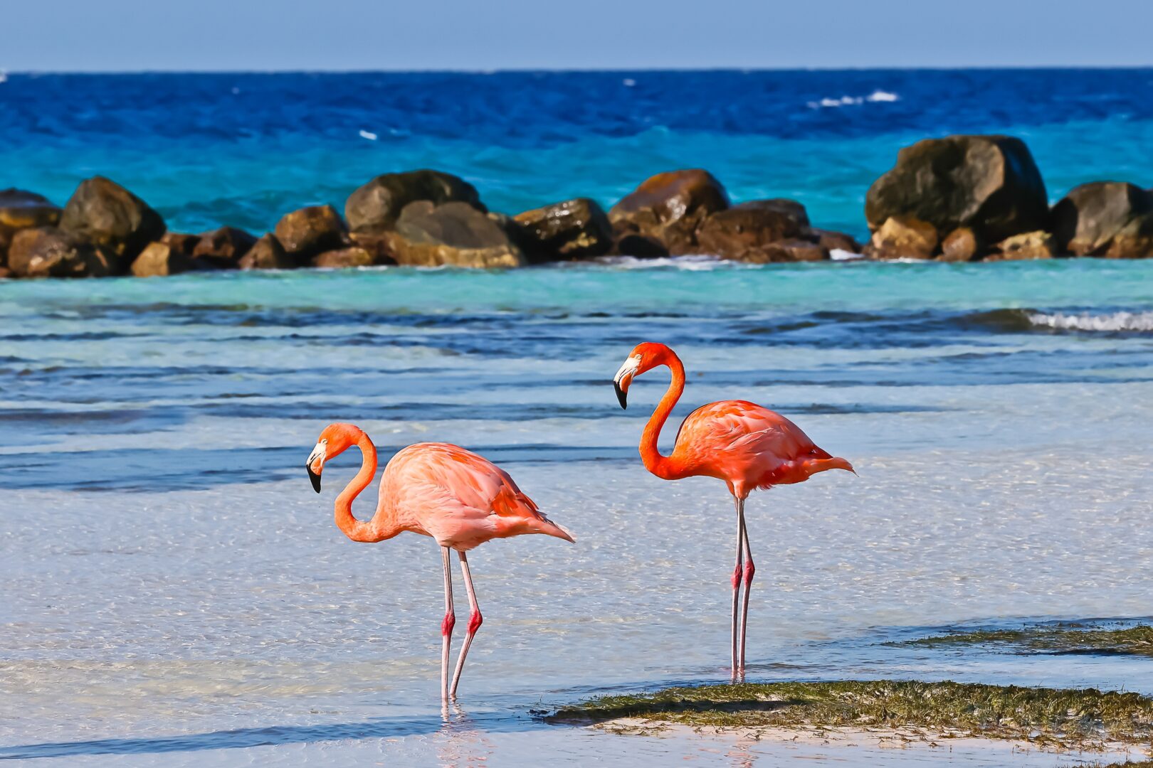 Croisière en Amérique du Sud avec le Queen Anne