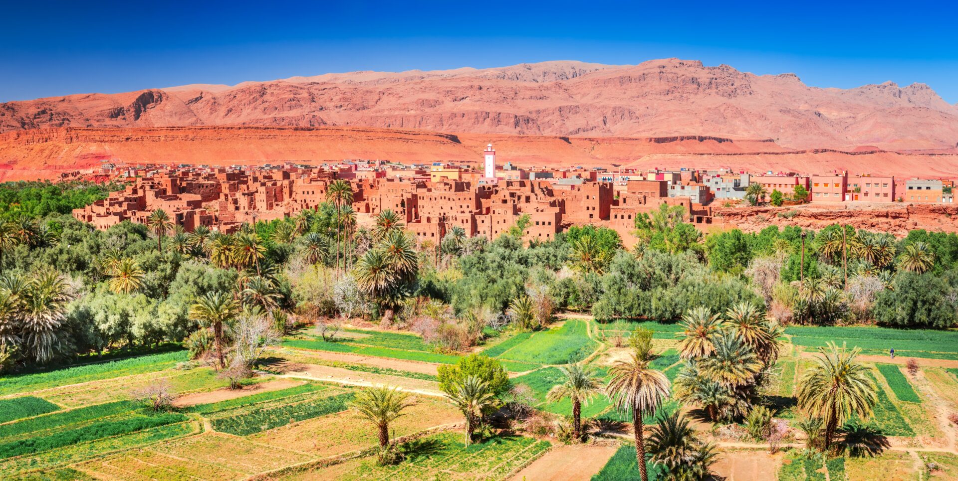Tinghir, Oasis de Todra, montagnes de l'Atlas, Maroc