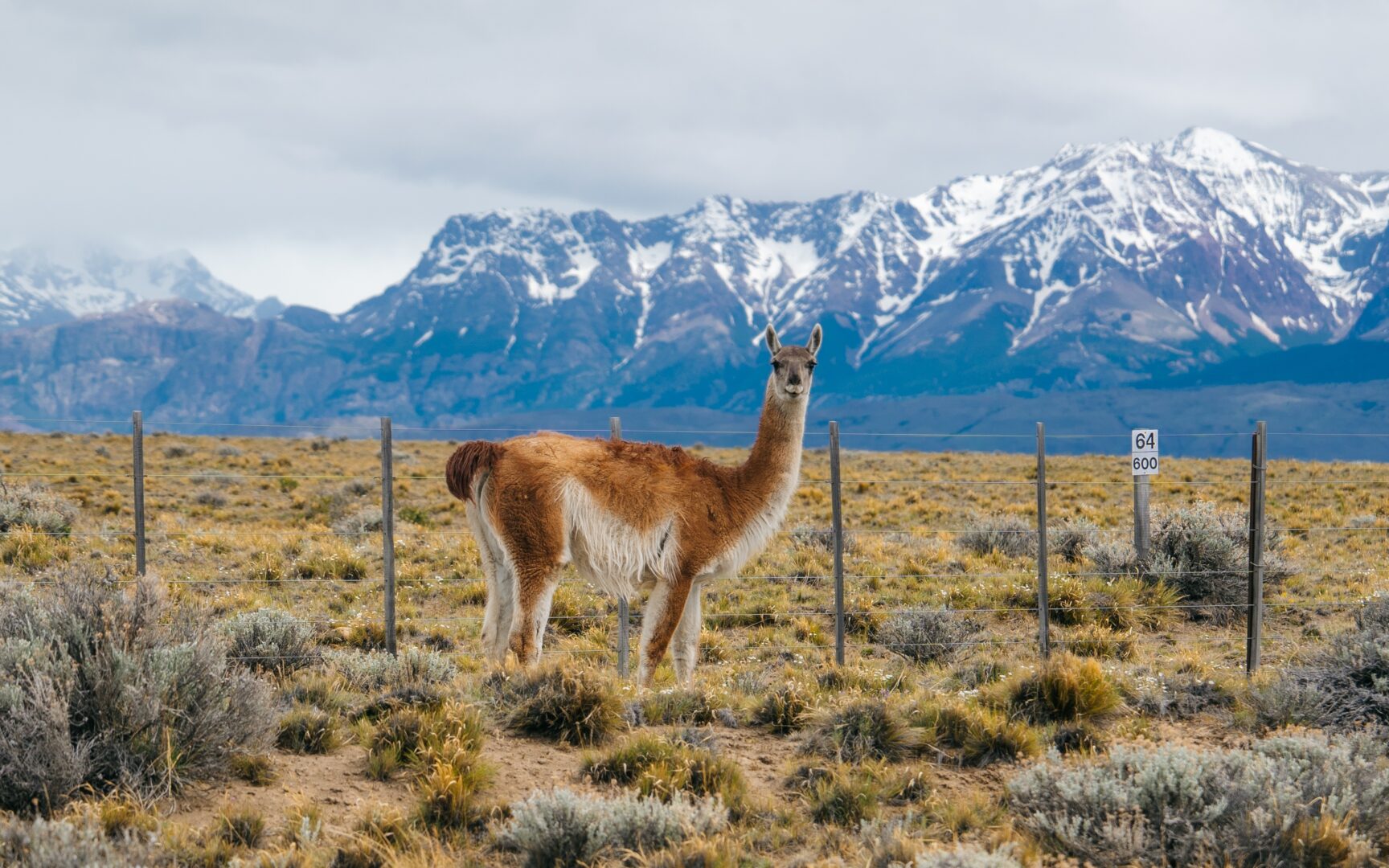 Croisière en Amérique du Sud avec le Queen Anne