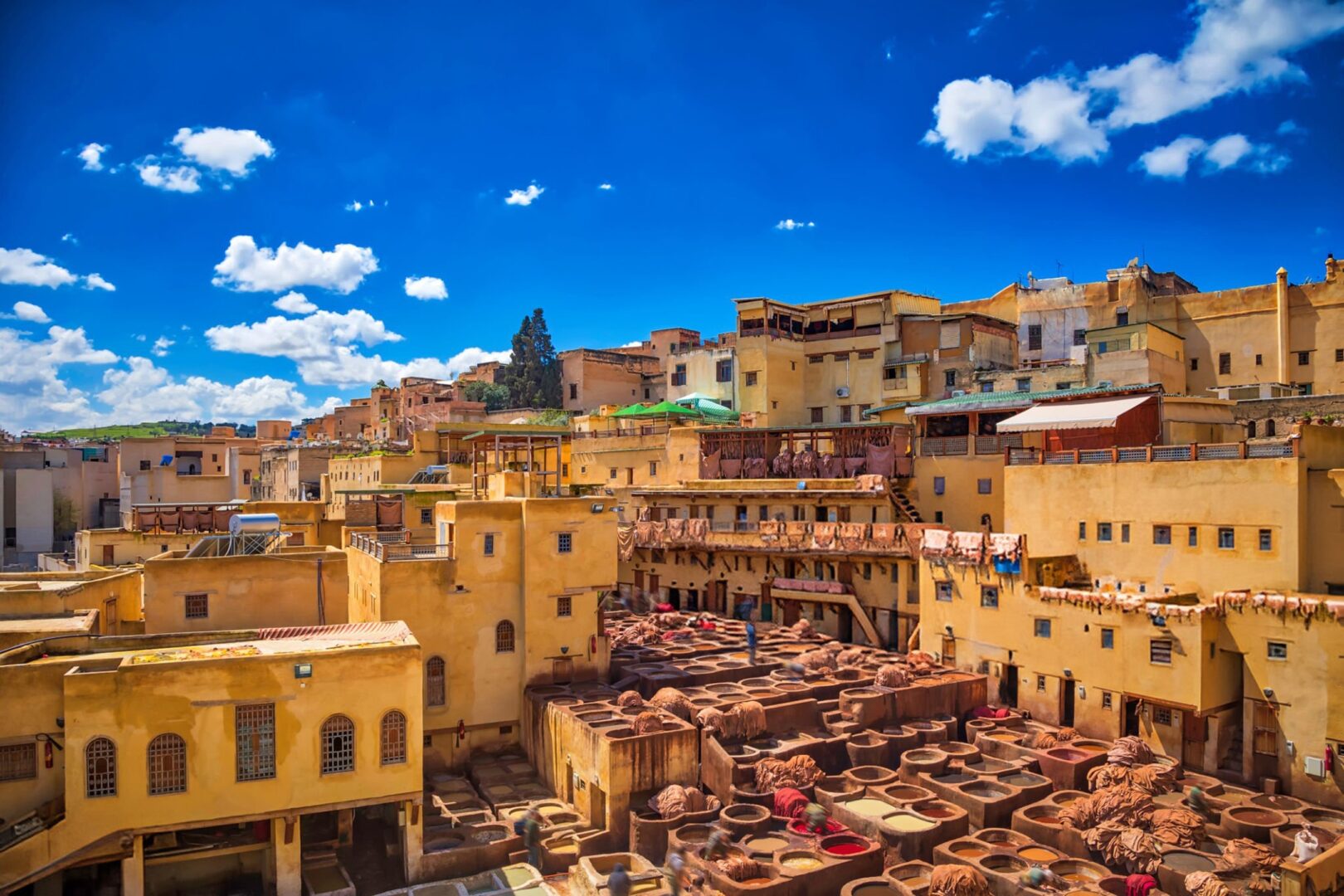 Médina de Fès, tanneries traditionnelles, Maroc