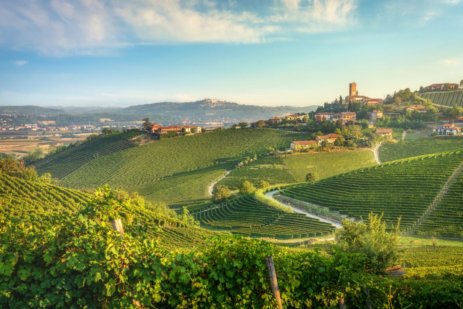 Village de Barbaresco et vignobles des Langhe au Piémont, Italie