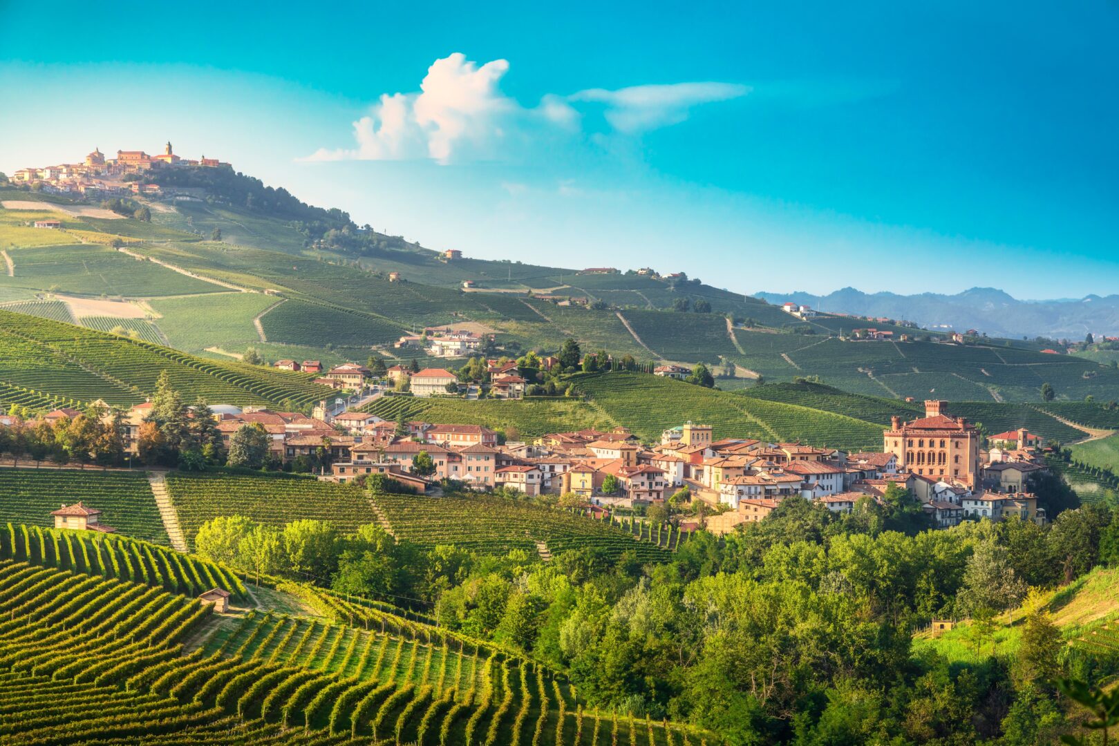 Vue sur les vignobles des Langhe au coucher du soleil, village de Barolo et La Morra en arrière-plan. Piémont, Italie.