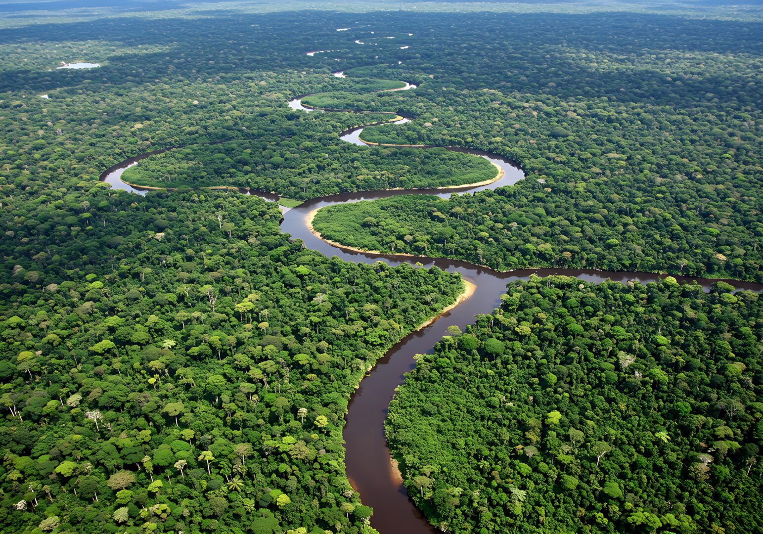 Rivière au coeur de la forêt amazonienne, Brésil