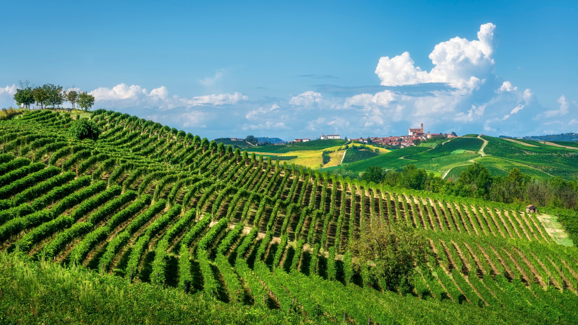 Vue panoramique des vignobles sur les collines ondoyantes de Monferrato avec le village pittoresque de Grana Monferrato visible en arrière-plan. Région du Piémont, Italie