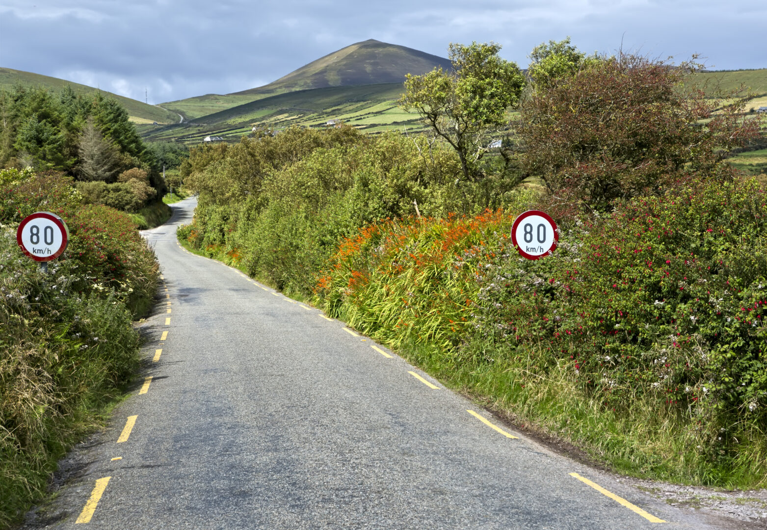 Route menant au col de Conor Pass dans les montagnes de Dingle, Irlande