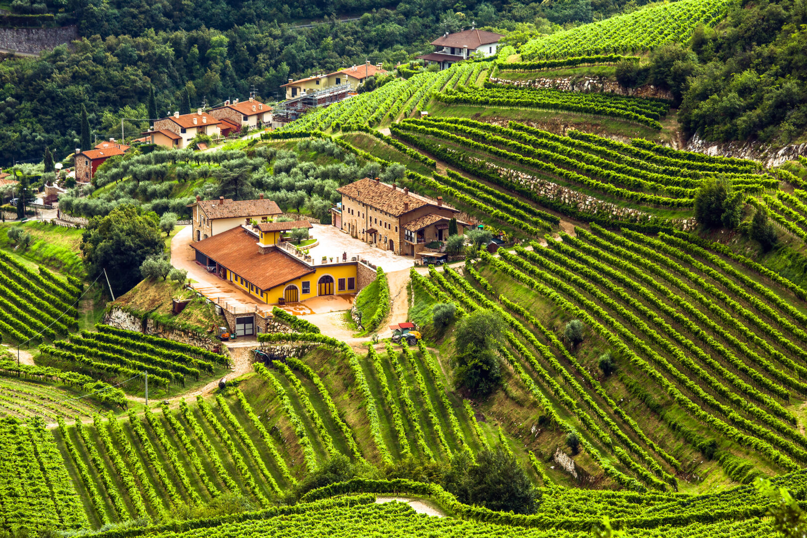 Vue panoramique sur les vignobles de Valpolicella, Vénétie, Italie